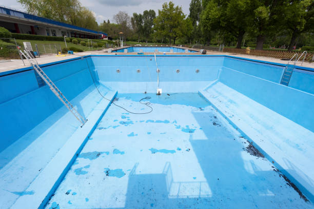Best Local water damage restoration  in Longwood, FL