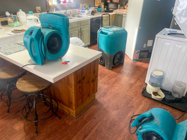 Best Mold removal after water damage  in Longwood, FL