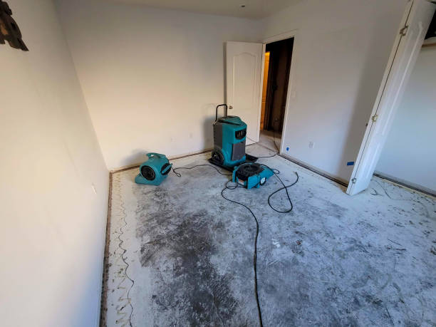 Best Emergency water damage restoration  in Longwood, FL
