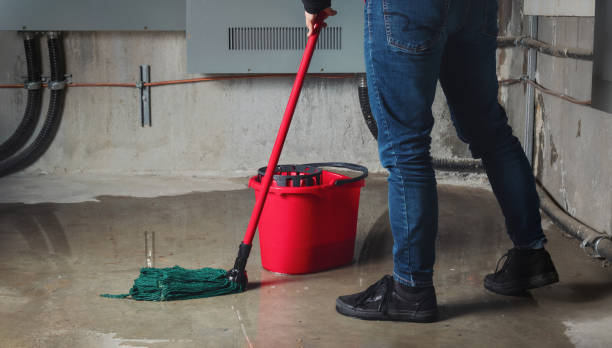 Best Professional water damage repair  in Longwood, FL