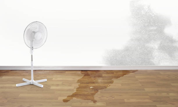Best Residential water damage restoration  in Longwood, FL