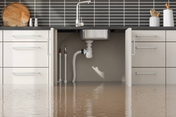  Longwood, FL Water damage restoration Pros