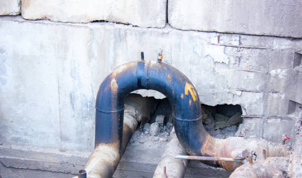 Best 24/7 water damage repair  in Longwood, FL
