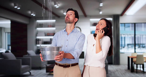 Best Water damage contractors near me  in Longwood, FL