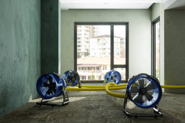 Best Water damage cleanup near me  in Longwood, FL